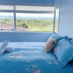 Bed & Breakfast Panoramic View Without A Kitchen, Rotorua
