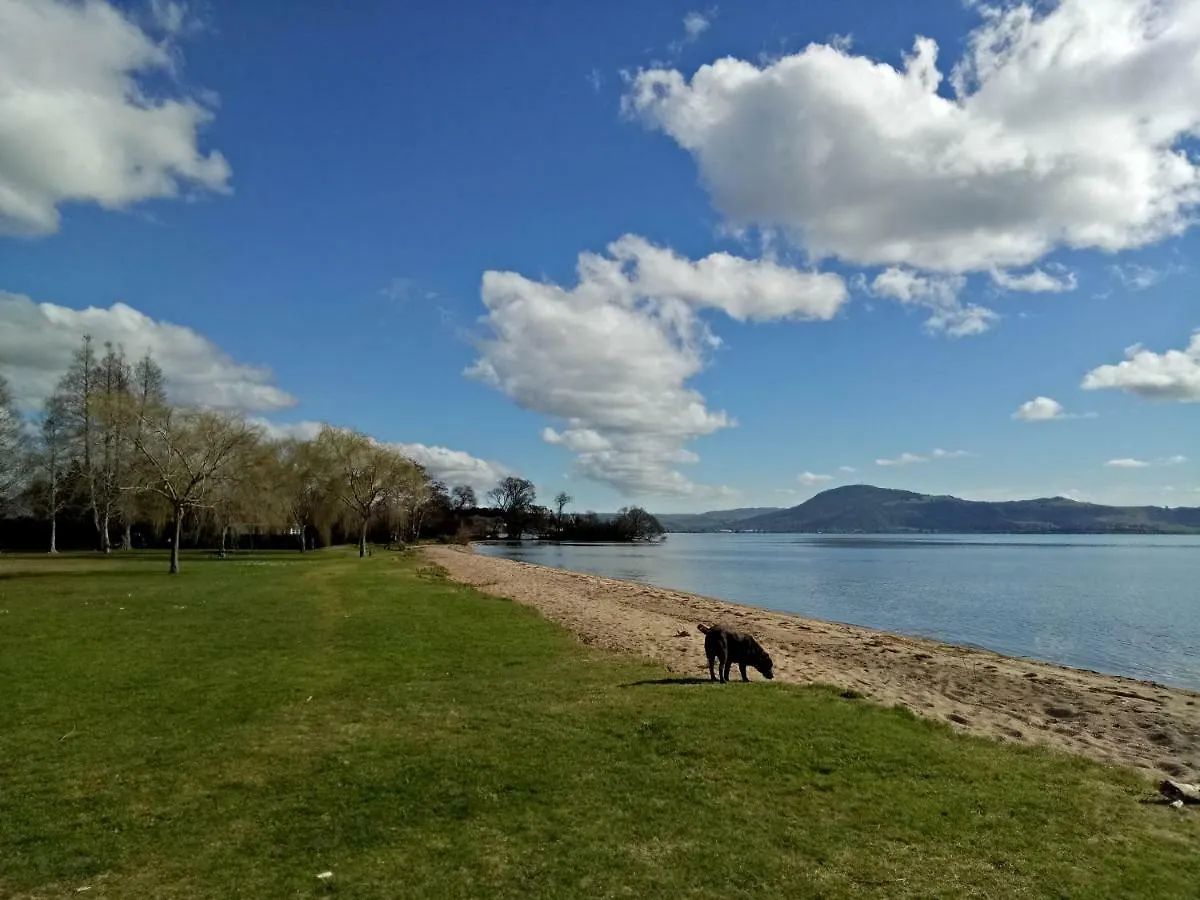 Great View Near Rotorua Lake Новая Зеландия